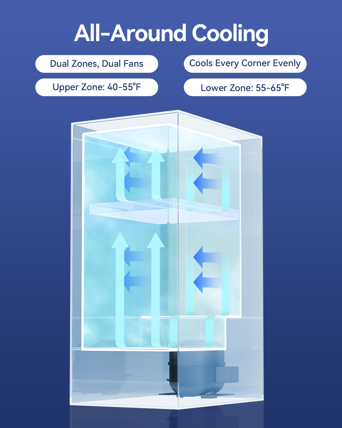 Plotanis 24 Inch Dual Zone Wine Fridge with All Around Cooling 